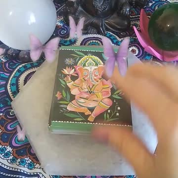 Wild Offering Message #shorts