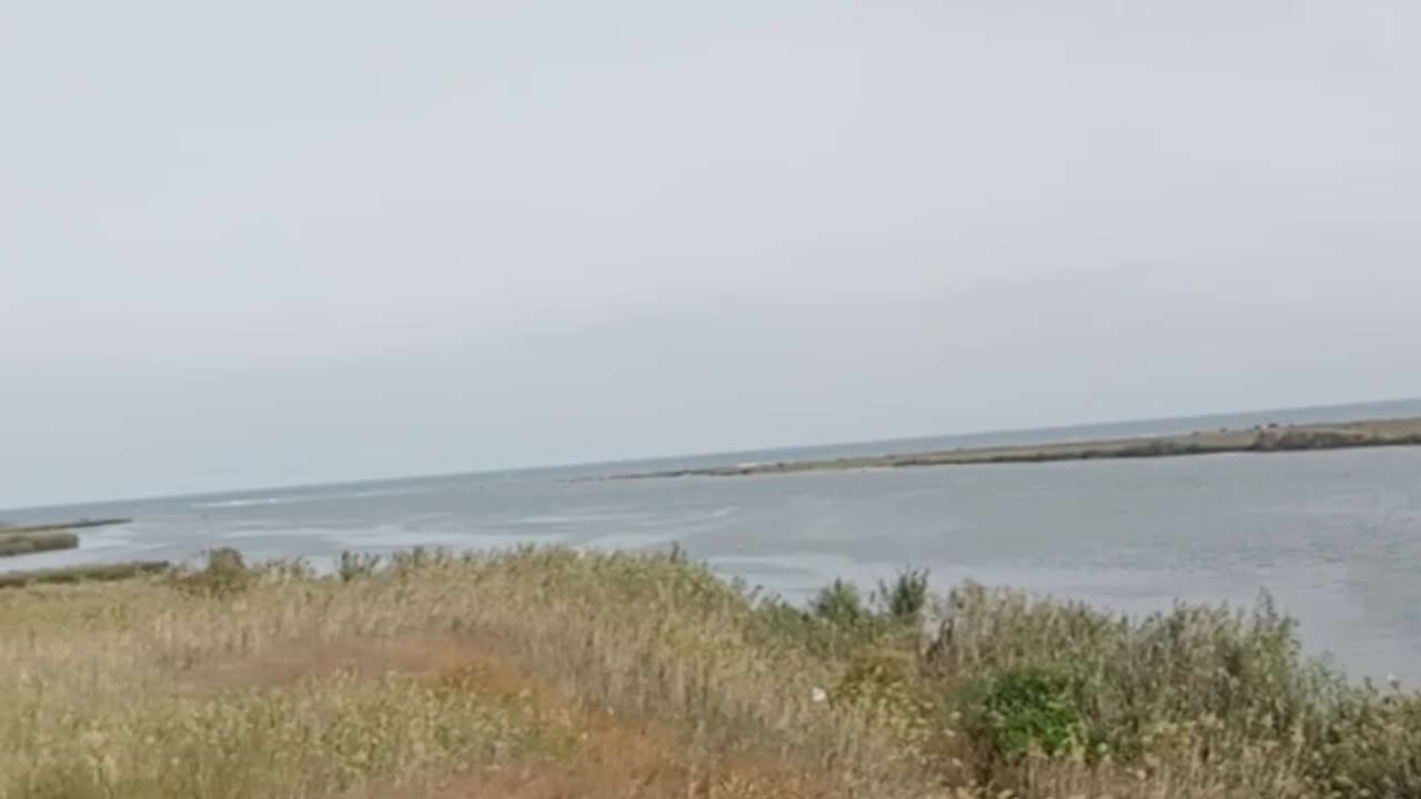 Ebro Delta and rice farms