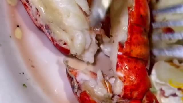 Delicious lobster meat