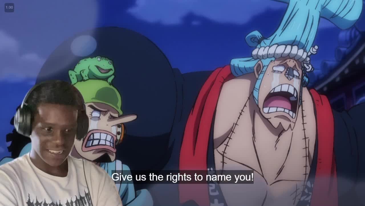 Law is FANNED OUT(one piece wano arc reaction)