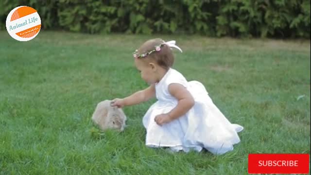 Little Girl Playing With Rabbit