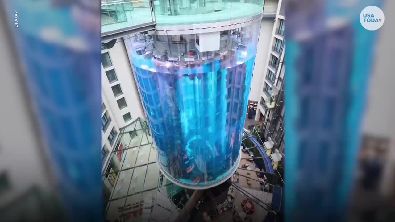 Berlin's AquaDom fish tank bursts, aquarium spills water, tropic fish