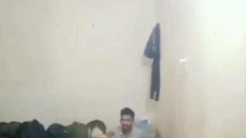 funny monkey attack
