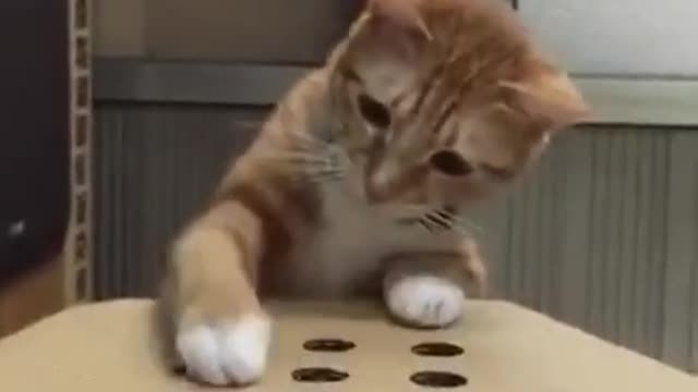The Elusive Finger