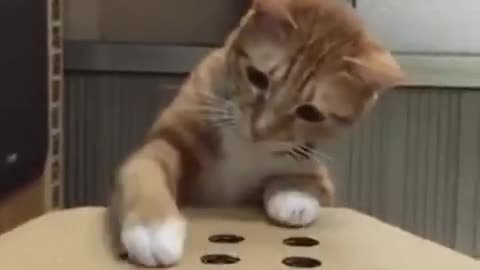 The Elusive Finger