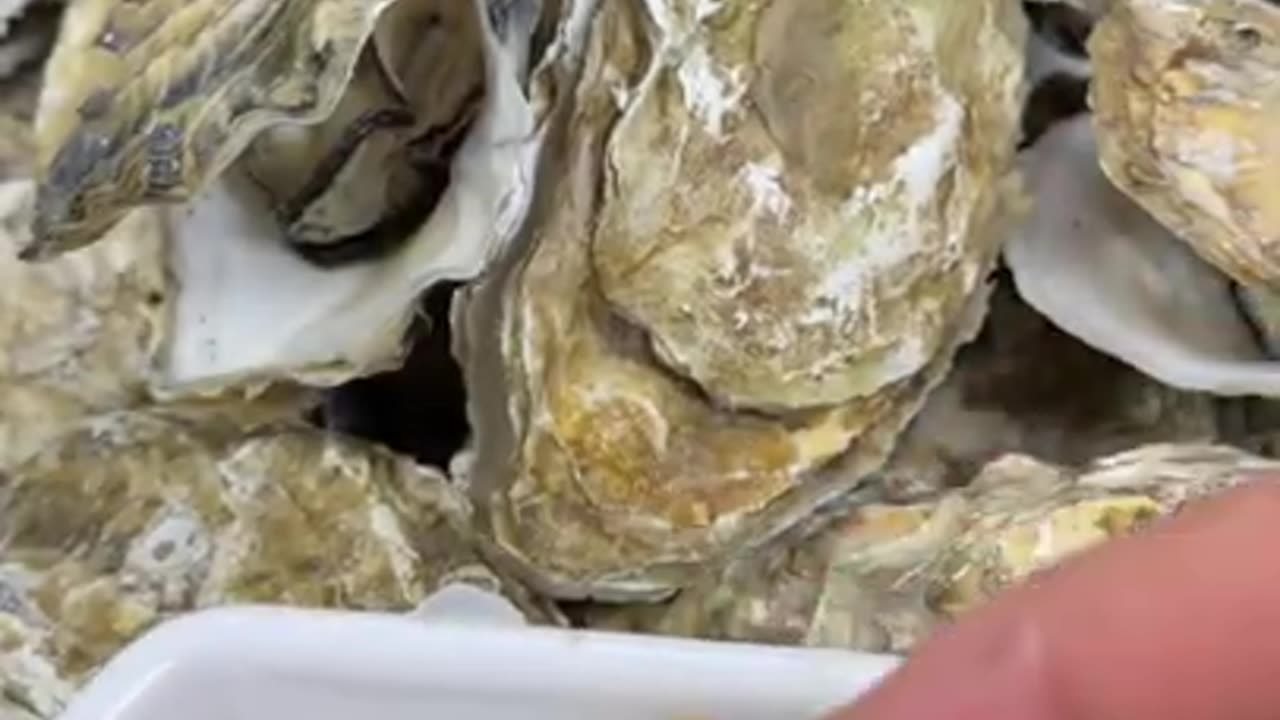 Yummy cooking oyster recipes 🤪😛😋