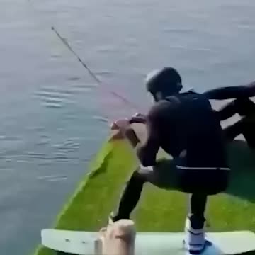 funny animals ! hahahahhaa