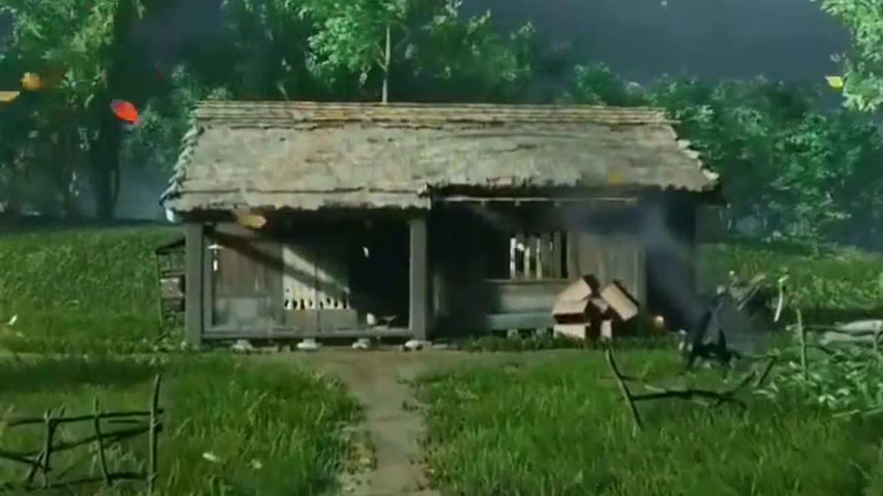 Nature video