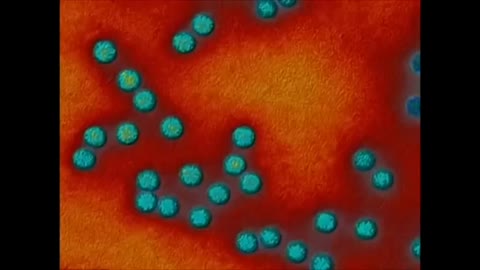 Red Pills - What is a Virus?