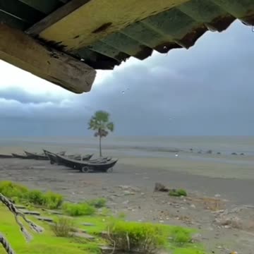 Gr liton Natural Clips, Natural Video Clips # - 96