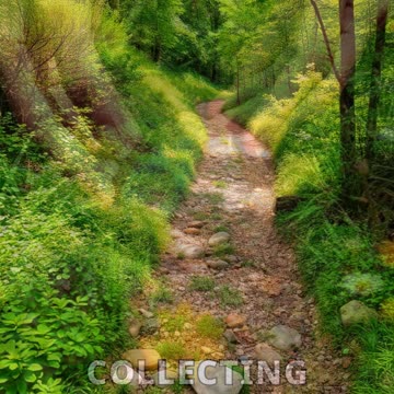 Rock Painting: A Nature Craft Adventure!