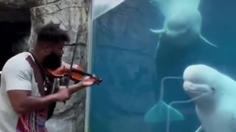 Music lovers 🎶😍