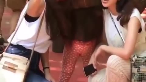 TRY NOT TO LAUGH 😆 Best Funny Videos Compilation 😂😁😆 Memes