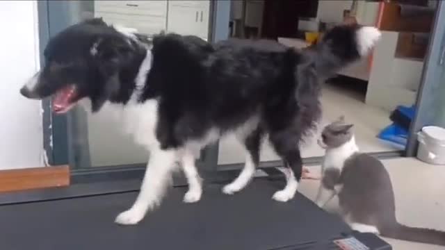 ΤΕΤΟΙΟ ΔΙΑΔΡΟΜΟ ΓΥΜΝΑΣΤΙΚΗΣ ΔΕΝ ΕΧΕΤΕ ΞΑΝΑΔΕΙ.