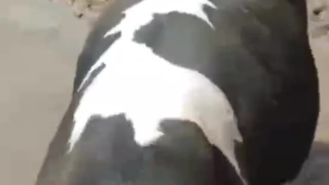 What is this? You haven't bathed in a long time. Is it itching?