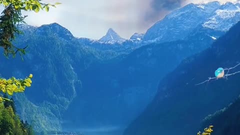 Only landscape can heal people
