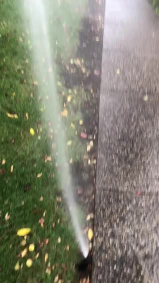 Fall Blowout’s sept 22,2021