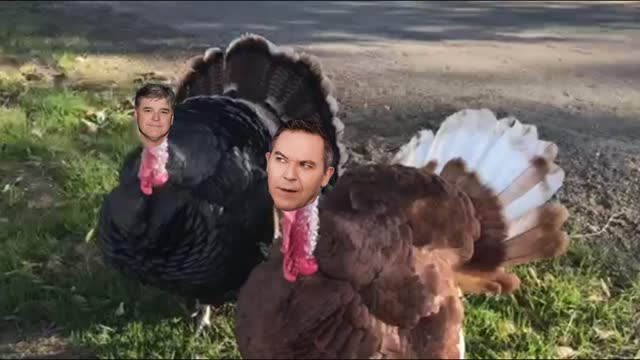 Jive Turkeys