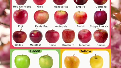 Get to know your favorite #Apple varieties 🍏🍎