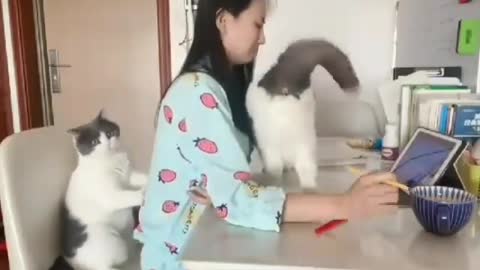 Cute and adorable animal behavior makes anyone happy to see it
