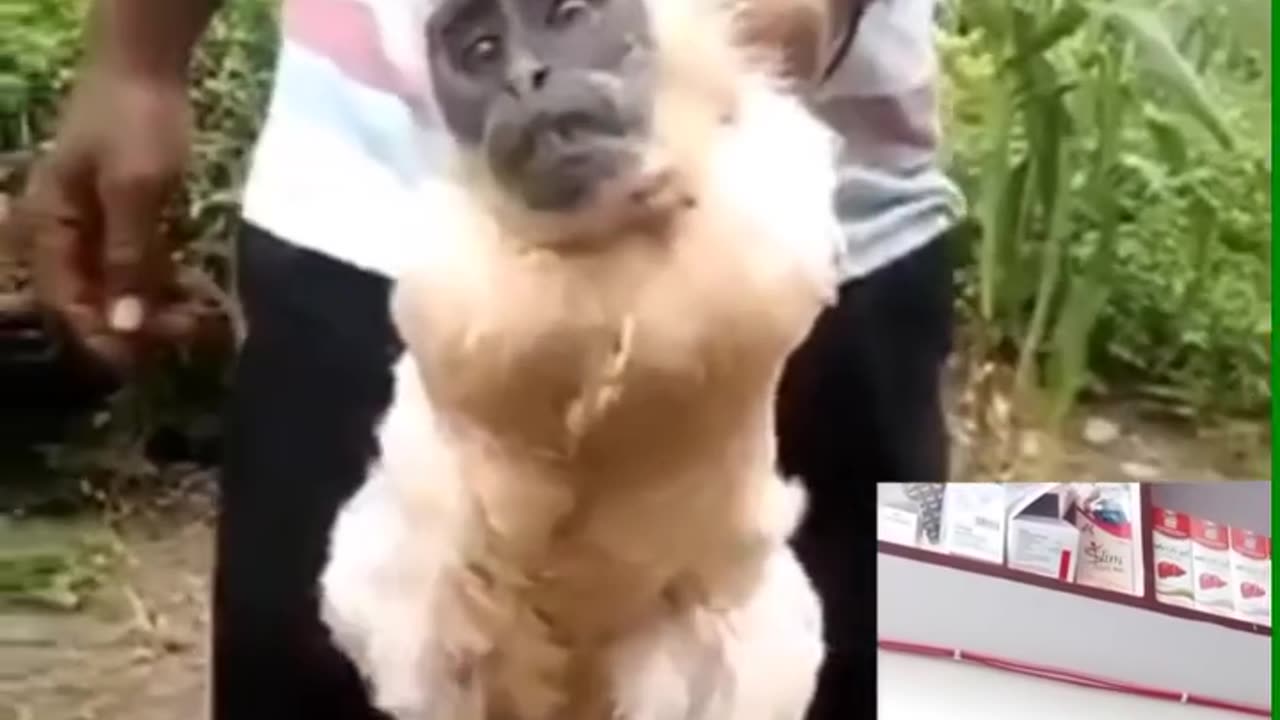 This is miracle of nature or something else... see and tell in comment box...