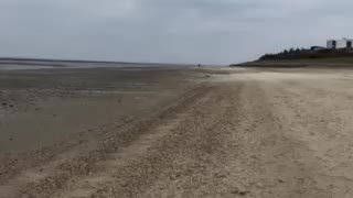 Humans by the sea