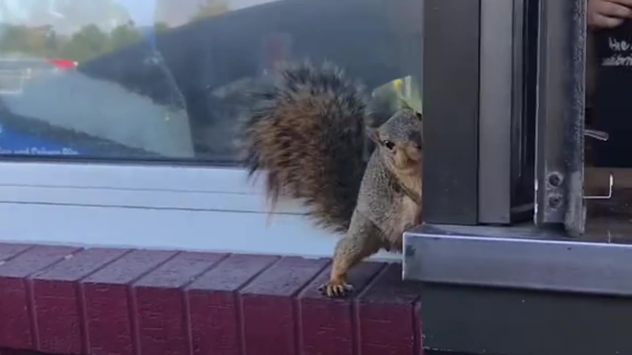 Can I have a snack!!🐿️