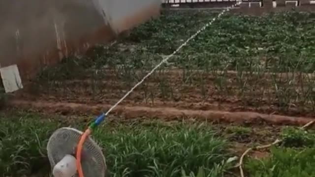 Genius🤩