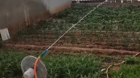 Genius🤩