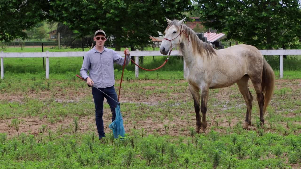 Please Do This With Your Horses! How I Desensitize A Horse To A Plastic Bag (3 Steps)