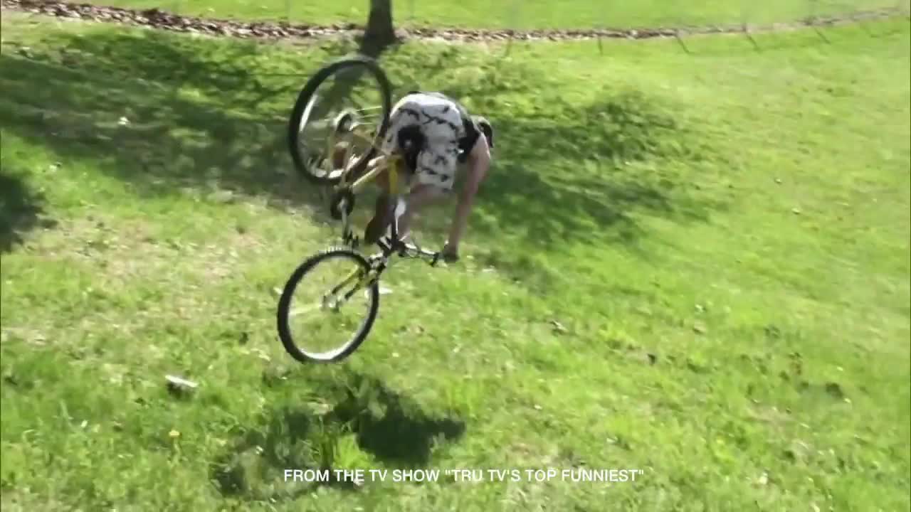DUMB HUMAN