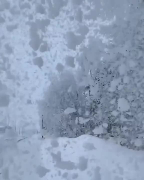 The beauty of nature is like magic