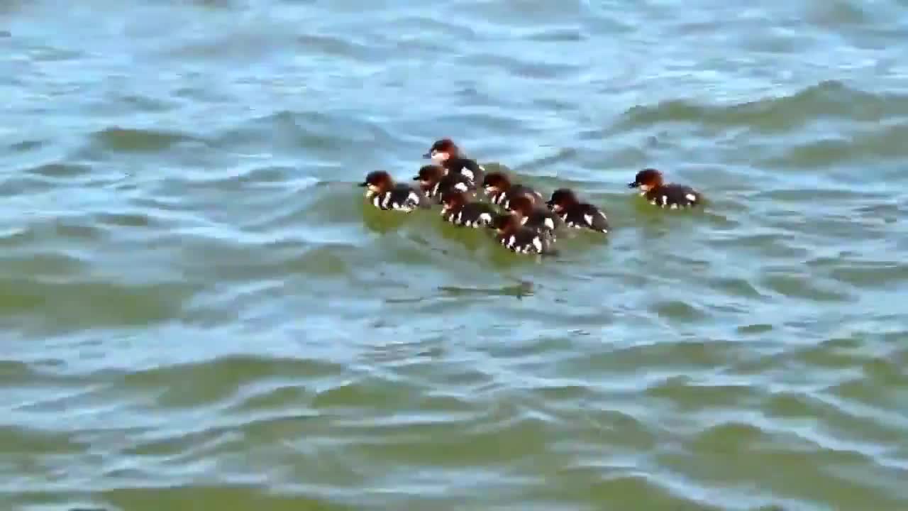 the beautiful nature