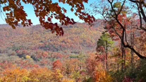 Fall colors in the Appalachians or also known as the Appalachian Mountains