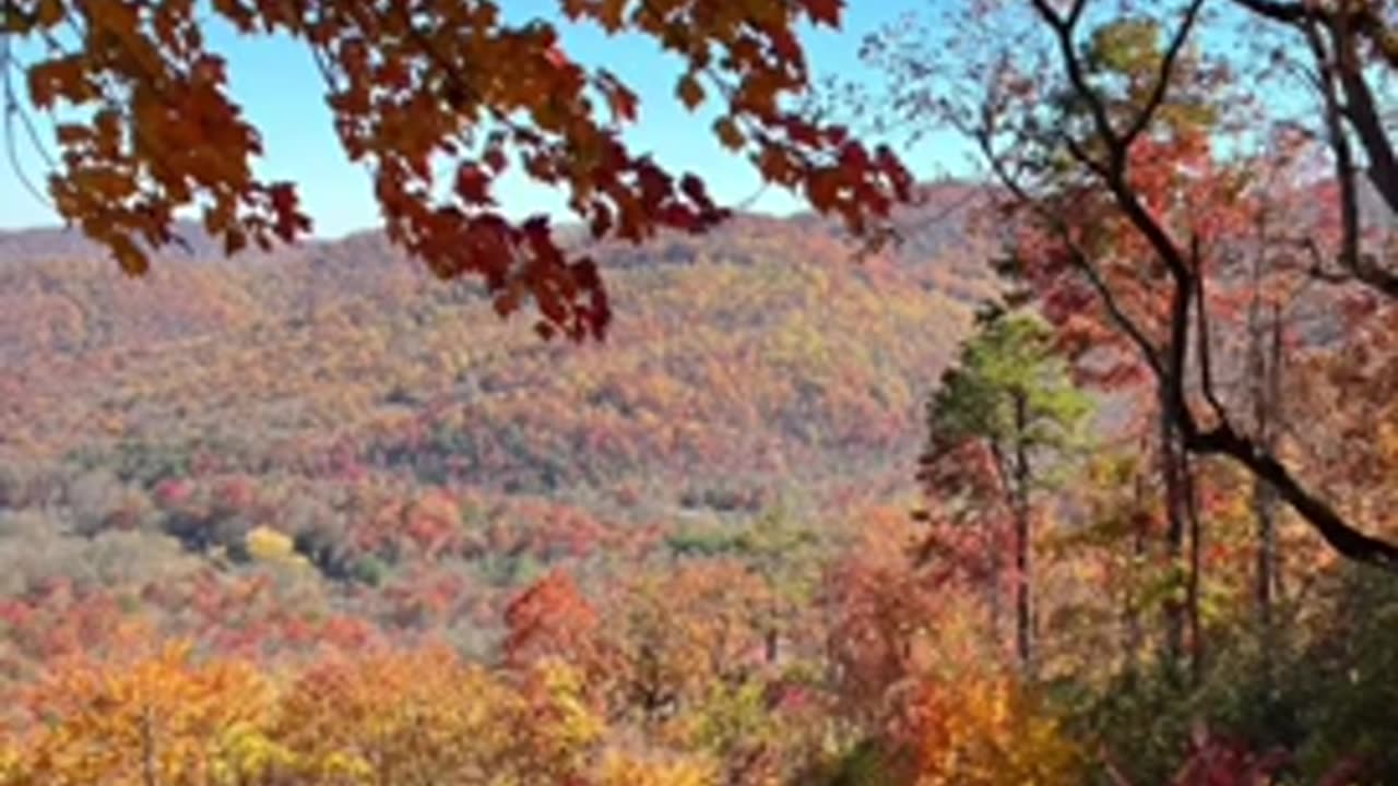 Fall colors in the Appalachians or also known as the Appalachian Mountains