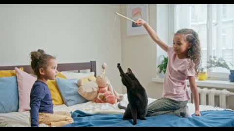 Babies playing with cat in the house...