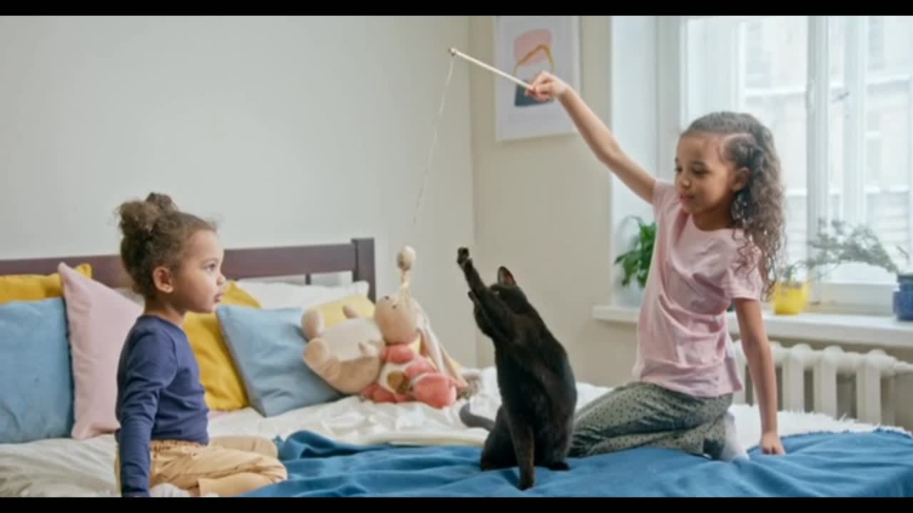 Babies playing with cat in the house...