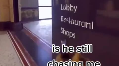 COD funny viral moments