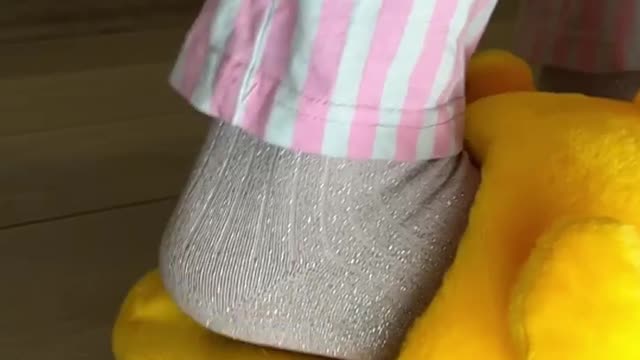 당신의 고양이 먹이를 잊지 마세요