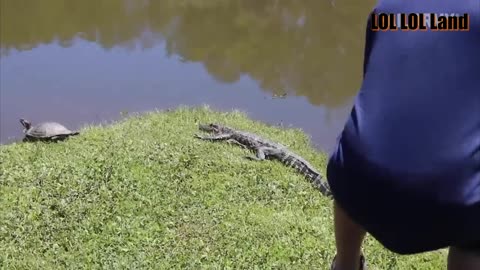 Funny Videos #5 | Compilation 2023 | Funny Vid #lol #comedy #hilarious #funny #funnyvideo #haha