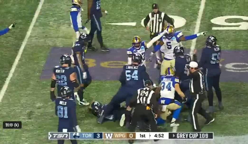 Grey Cup 109 Recap: Toronto vs. Winnipeg-2