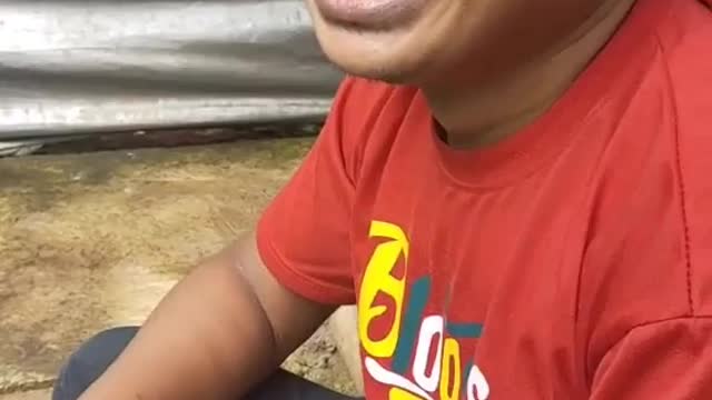 This is a beautiful and charming water-dwelling species