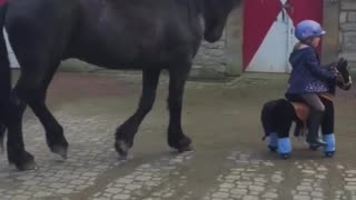 Kids love horses