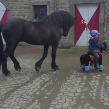 Kids love horses