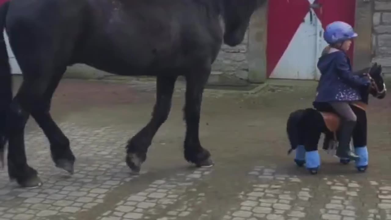 Kids love horses