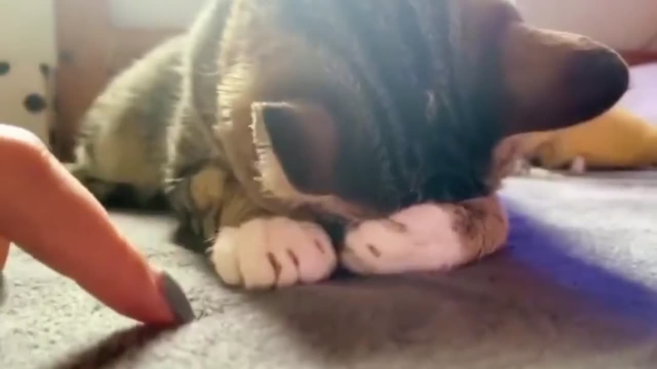 don't be sad