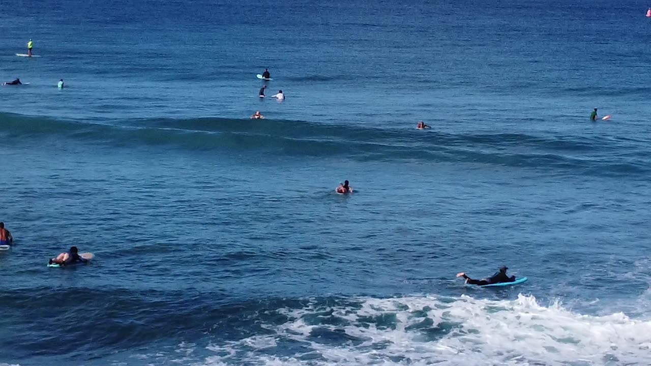 Unknown Instructor & Student at the Ala Wai 2023-06-14 Wed 2-4 ft