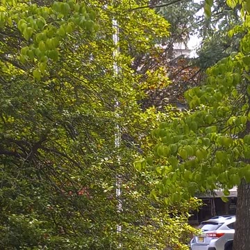 THEY HATE US AND ALL WHO SACRIFICED EVERYTHING