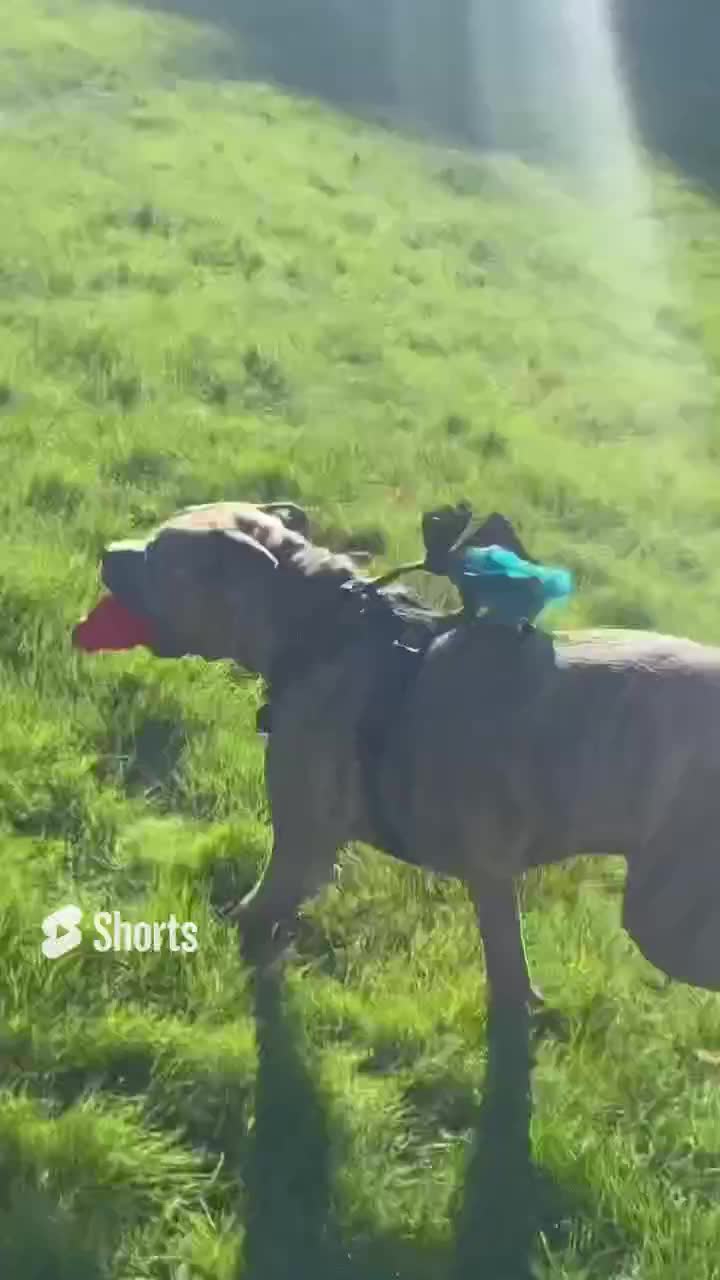 Playtime with Mom