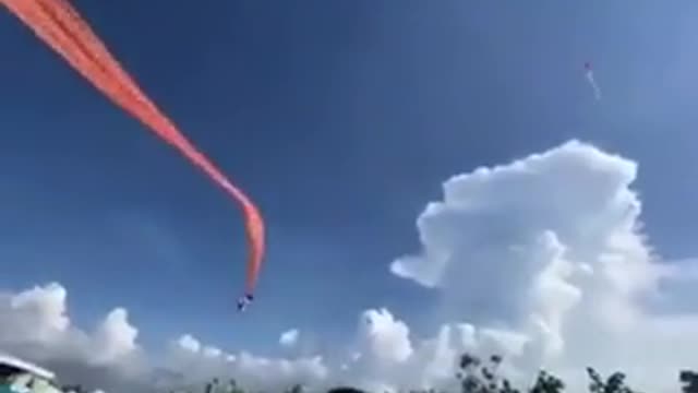 See this thing😱😓